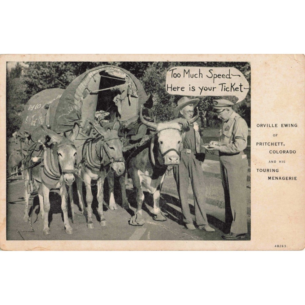 Vintage Orville Ewing Touring Menagerie Pritchett Colorado Humorous Postcard